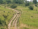 IMG_20210704_142918