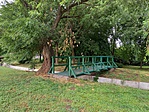 GCRORO_20210719_150340