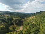 IMG_20210723_162732