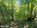 IMG_20210706_140509