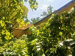 IMG_20210706_140742