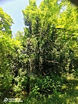 IMG_20210706_140954