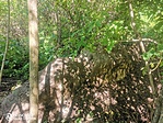 IMG_20210706_154333