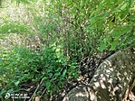 IMG_20210706_154344