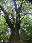 IMG_20210713_123052