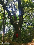 IMG_20210713_123551
