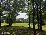 IMG_20210716_111951