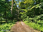 IMG_20210716_112033