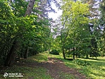 IMG_20210716_112051