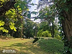 IMG_20210716_112841