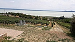 Folly