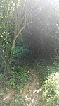 IMG_20210628_110826