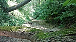 IMG_20210628_113643