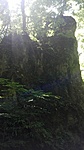 IMG_20210628_120812