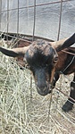 IMG_20210701_161258