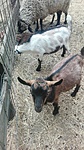 IMG_20210701_161503