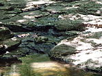 P7101330
