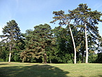 P7171468