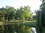 P7171477