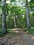 P7181514