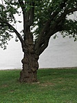 P7222209