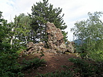 P7191626