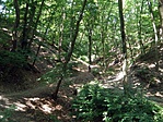 P7302428