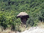 P7302439