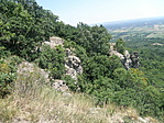 P7302442