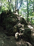 P7302465