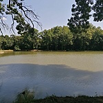 IMG_20210716_134200