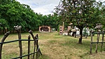 IMG_20210702_151639
