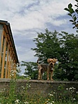 IMG-5c10c3cb9419e6f91d8dfa8af22d599b-V
