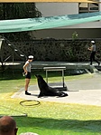 IMG_3106