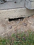 IMG_20210705_110519