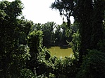 DSCN0636