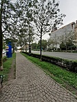 20210801_093416