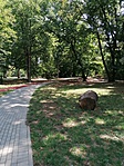 IMG_20210806_120954