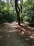 IMG_20210806_121018