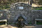 IMGP0130