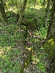 IMG_20210728_125415