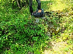 IMG_20210728_125432