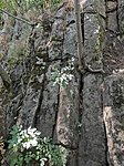 IMG_20210703_143823