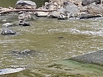 IMG_20210704_155201