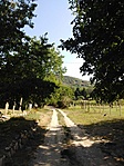IMG_20210821_093237