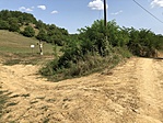 IMG_2821