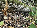 IMG_0768