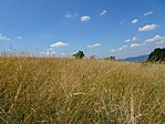 DSC04956