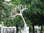 DSC05029
