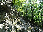 DSC05150